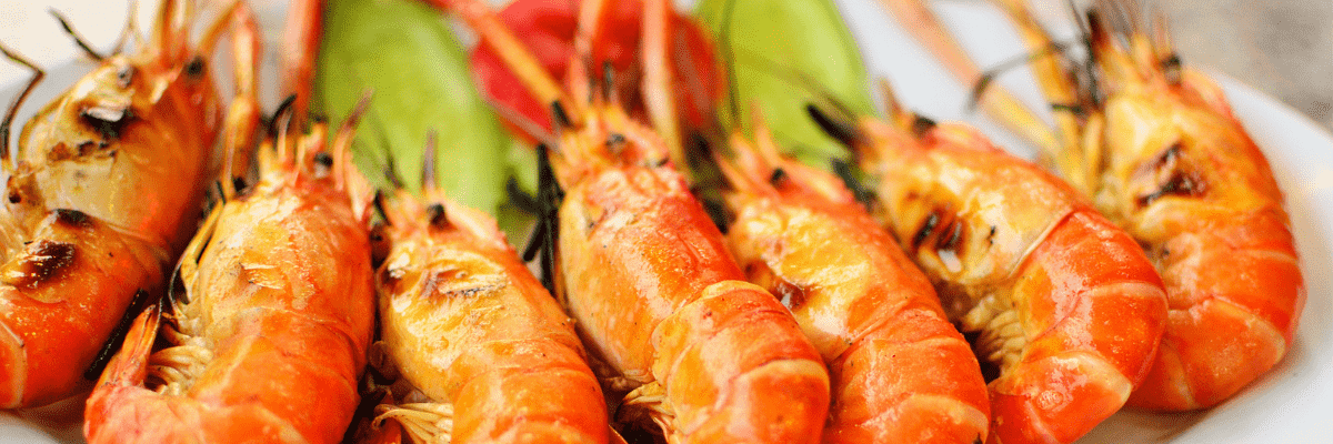 a plate of grilled prawns